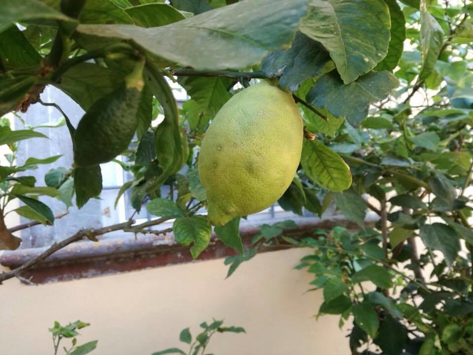 Pugnano Relais Villa Poschi מראה חיצוני תמונה